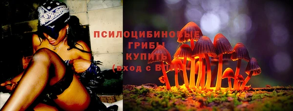 твердый Бугульма