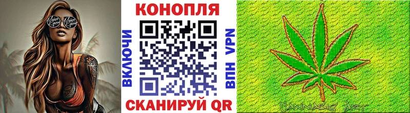 Купить закладки Княгинино Шишки марихуана ГИДРОПОН